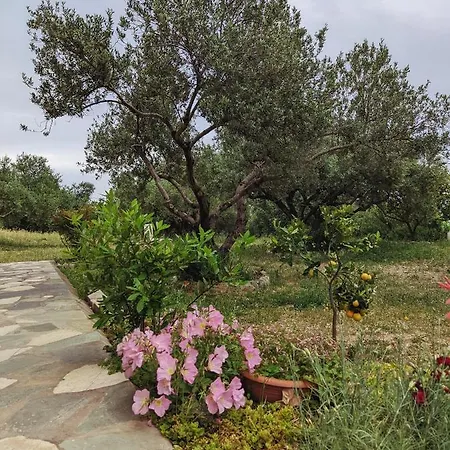 Krini And Aroma - Garden & Private Parking Mousata